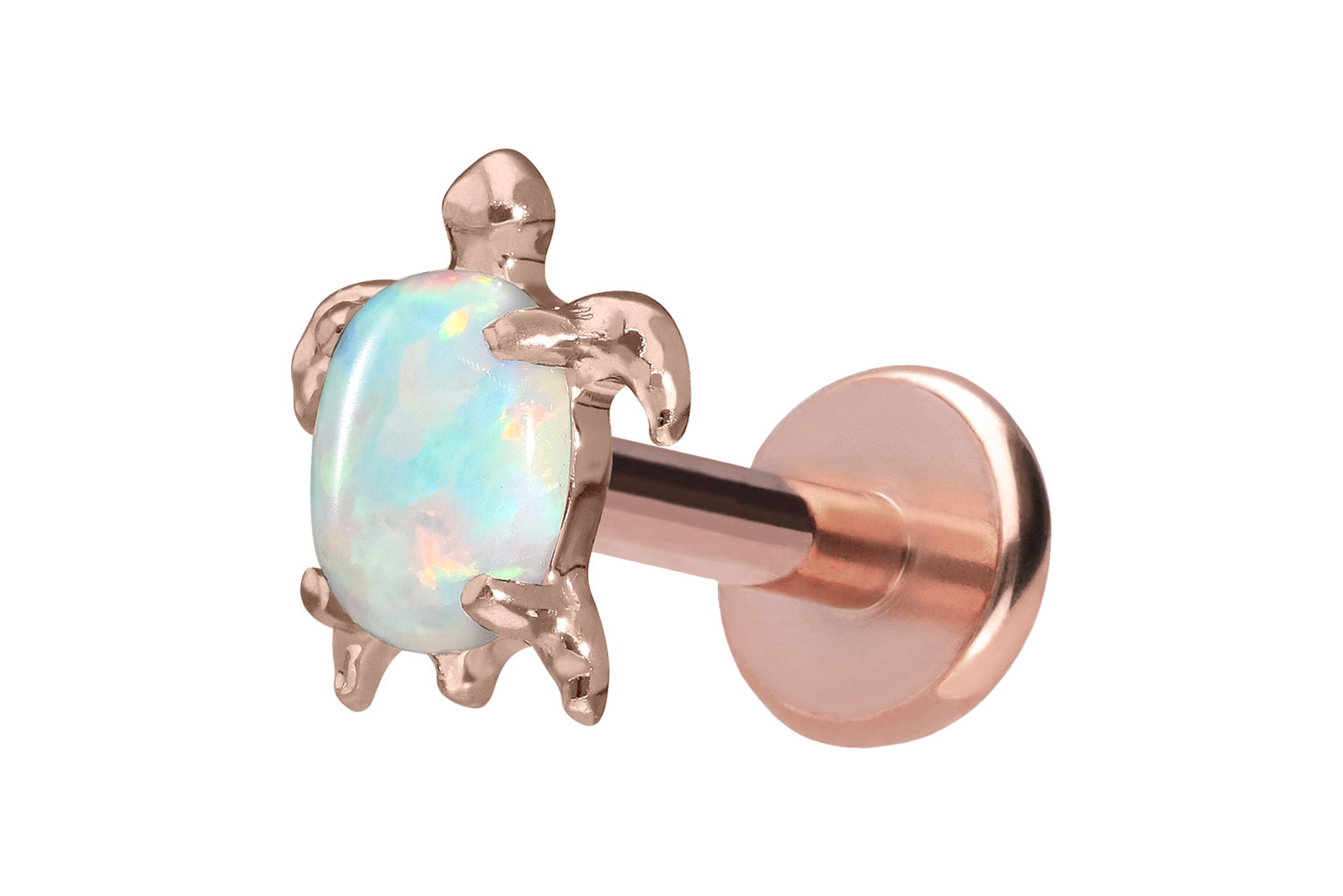 Titan Labret Piercing mit Push Fit SCHILDKRÖTE